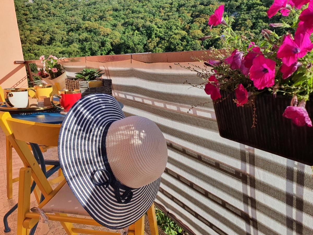 Apartman Bake Milke Senj  Esterno foto