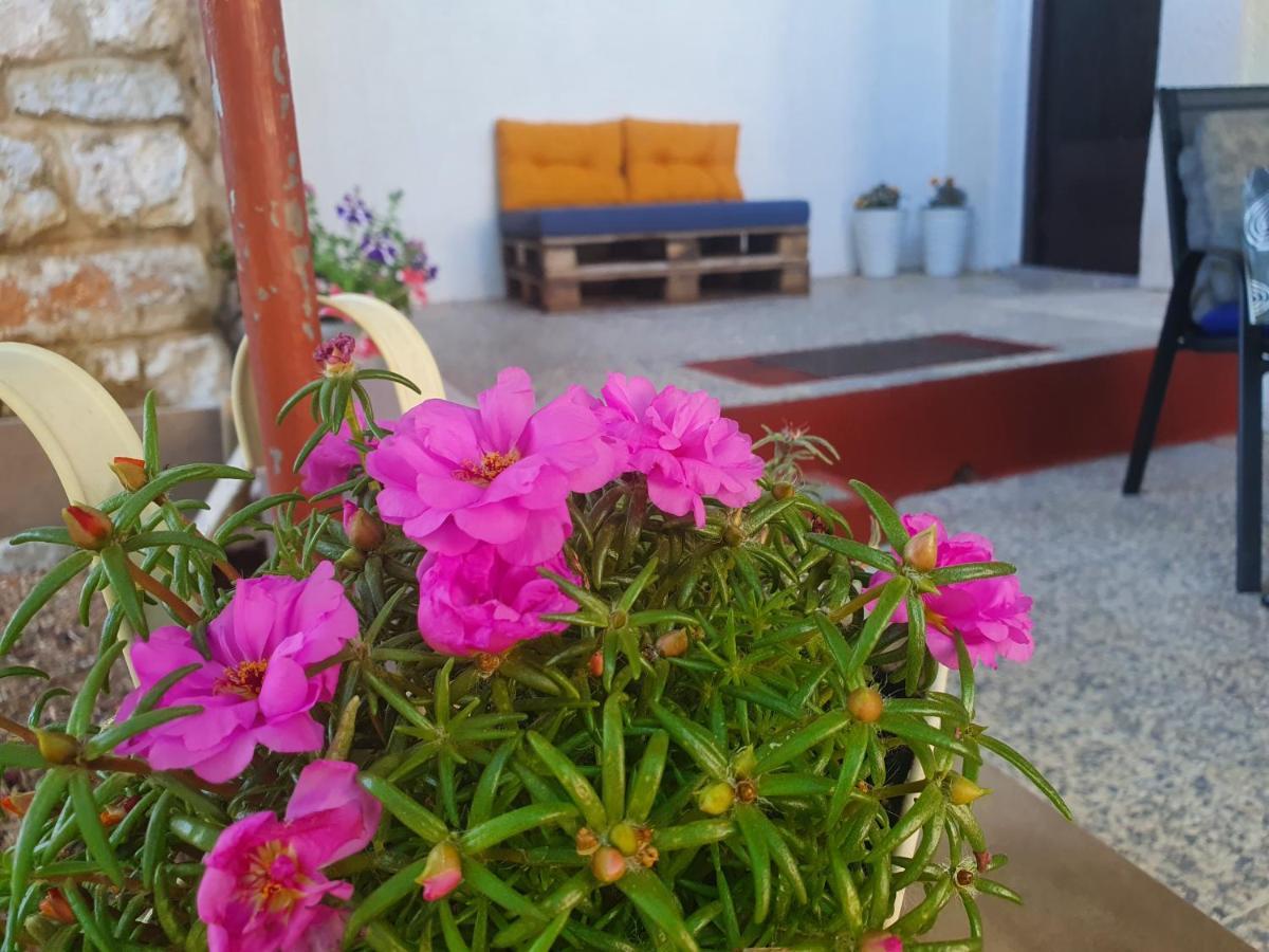 Apartman Bake Milke Senj  Esterno foto